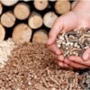 VARIEDADES DE PELLETS
