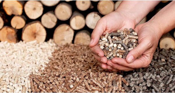 VARIEDADES DE PELLETS